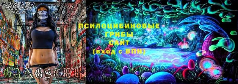 Псилоцибиновые грибы MAGIC MUSHROOMS  ОМГ ОМГ как зайти  Горячий Ключ 